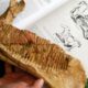 Descubren una nueva especie de dinosaurio en un campo de Río Negro.