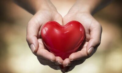 Científicos descubrieron que una proteína sirve para detectar a tiempo enfermedades cardiovasculares.
