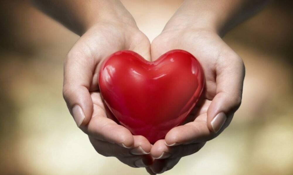 Científicos descubrieron que una proteína sirve para detectar a tiempo enfermedades cardiovasculares. Científicos descubrieron que una proteína sirve para detectar a tiempo enfermedades cardiovasculares.