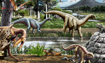 La investigación científica sobre los reptiles voladores de Marayes aparece en la Revista Papers in Palaeontology.