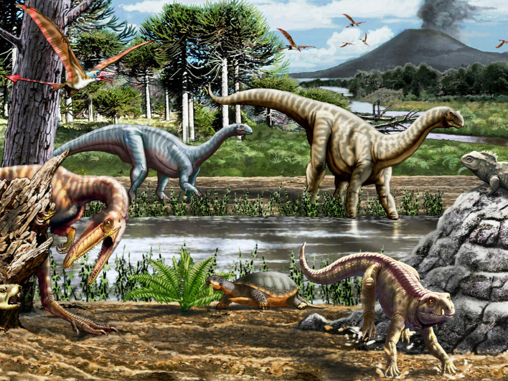 La investigación científica sobre los reptiles voladores de Marayes aparece en la Revista Papers in Palaeontology. La investigación científica sobre los reptiles voladores de Marayes aparece en la Revista Papers in Palaeontology.