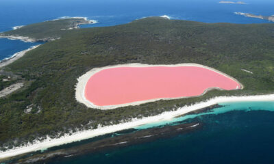 Un equipo de científicos descubren el motivo por el cual el agua de un lago de Australia se torna de color rosa brillante.
