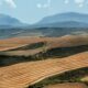 Científicos crean un mapa que reubicará los tierras de cultivo y retrocederá el reloj veinte años en emisiones de carbono.