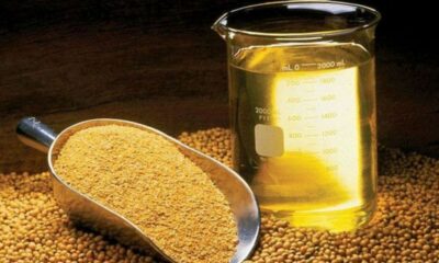Suspenden exportaciones de harina y aceite de soja.