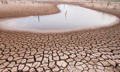 Estado, UNSJ y UCCuyo unen estrategias y esfuerzos para hacer frente al cambio climático.