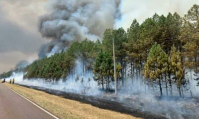 Corrientes: «muchos focos de incendios aún permanecen activos».