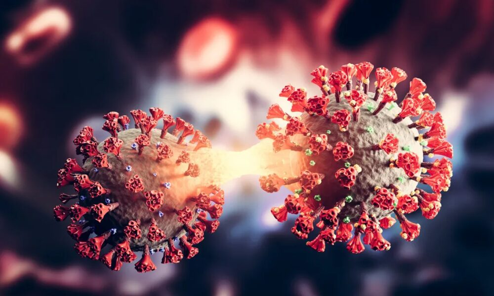 La OMS confirmó una variante de coronavirus que combina Ómicron y Delta. La OMS confirmó una variante de coronavirus que combina Ómicron y Delta.