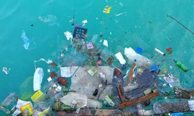 Cuidado del medio ambiente: La ley sobre gestión de envases reingresará al Congreso.