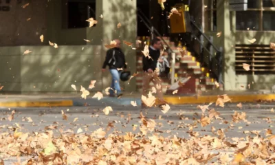 Alerta por ráfagas de viento en la provincia.