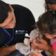 Salud prepara diversas actividades para concientizar sobre la enfermedad del Chagas.