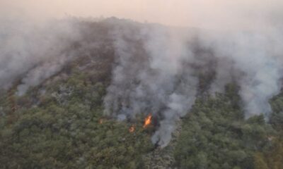 Hay un solo foco de incendio forestal en Neuquén.
