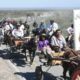 Por la Cabalgata de la Fe la reserva hotelera llegó al 71%.