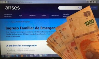 Avanza el proyecto del Gobierno para otorgar un nuevo IFE.￼