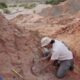 Investigadores del Conicet hallaron restos de un antepasado de los mamíferos de 220 millones de años en La Rioja.