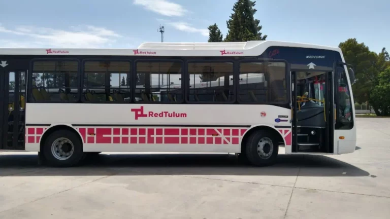 UTA confirmó que luego del mediodía se reestablecerá el servicio de colectivos. UTA confirmó que luego del mediodía se reestablecerá el servicio de colectivos.