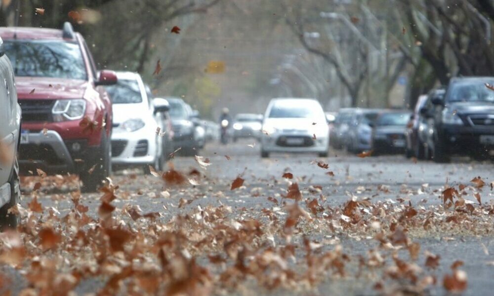 ¿Primavera con viento zonda? Emitieron alerta meteorológica para este 21 de septiembre. ¿Primavera con viento zonda? Emitieron alerta meteorológica para este 21 de septiembre.