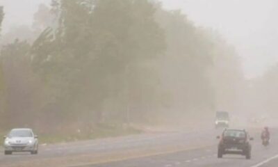 Educación suspende la actividad escolar ante el alerta de viento Zonda.