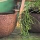 ¡No te lo pierdas! IxD dicta un taller para realizar macetas ecológicas.￼