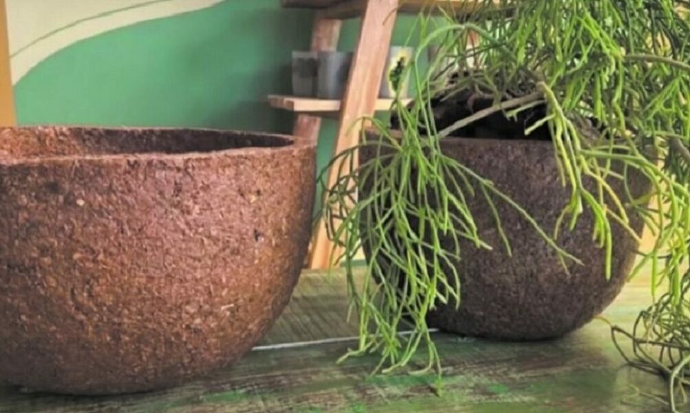 ¡No te lo pierdas! IxD dicta un taller para realizar macetas ecológicas. ¡No te lo pierdas! IxD dicta un taller para realizar macetas ecológicas.