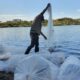 Valle Fértil: Ambiente sembró pejerrey en el dique San Agustín.