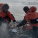 Investigadores buscan comprender el comportamiento de volcanes activos en la Antártida