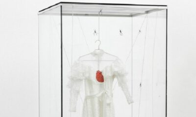 El Malba retiró arañas de una obra de arte tras las protestas del público en redes.