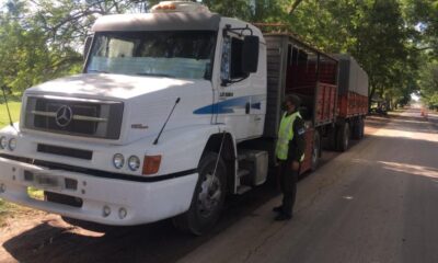 Contrabando de autopartes en Cuyo: Gendarmería decomisó 796 cubiertas y una balanceadora.
