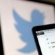 Twitter permitirá incluir videos e imágenes en una misma publicación.