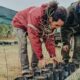 Una escuela de Bermejo será reforestada con árboles nativos donados por Ambiente.