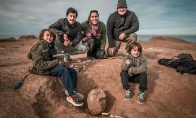 Santa Clara del Mar: Un nene encontró un cráneo fósil de más de 400 mil años de antigüedad en la playa.