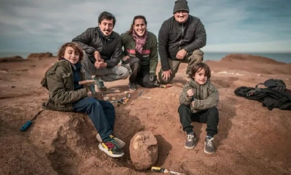 Santa Clara del Mar: Un nene encontró un cráneo fósil de más de 400 mil años de antigüedad en la playa. Santa Clara del Mar: Un nene encontró un cráneo fósil de más de 400 mil años de antigüedad en la playa.