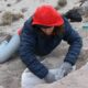 En Río Negro encontraron fósiles de mamíferos que existieron hace 38 millones de años.