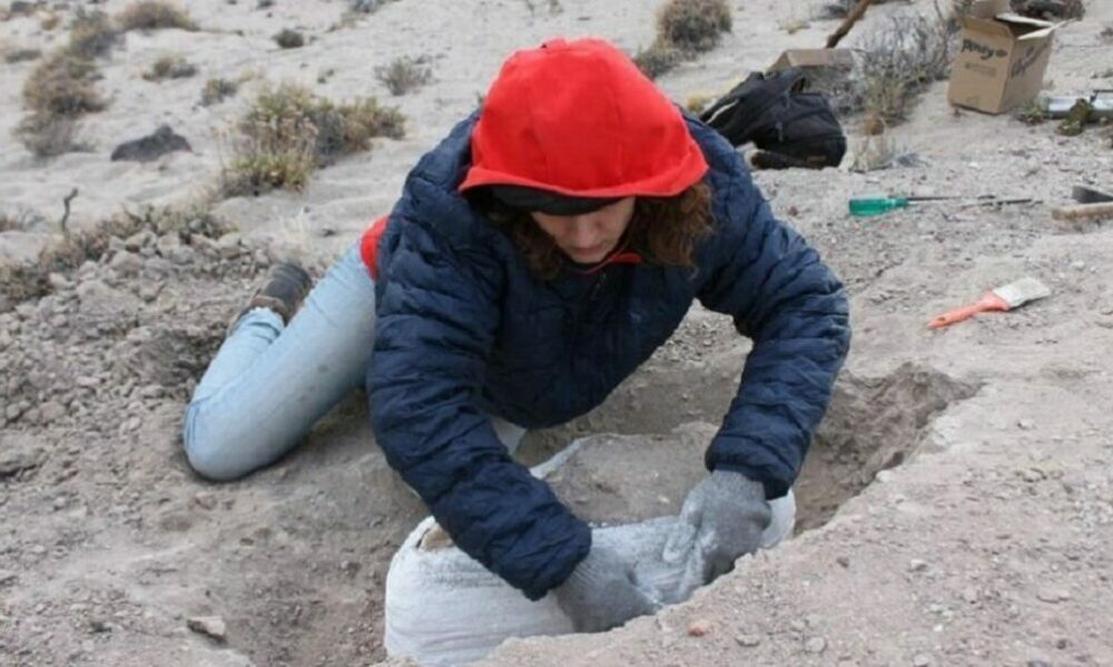 En Río Negro encontraron fósiles de mamíferos que existieron hace 38 millones de años. En Río Negro encontraron fósiles de mamíferos que existieron hace 38 millones de años.