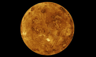 No hay vida en la atmósfera de Venus, afirma un nuevo estudio que contradice las teorías anteriores.