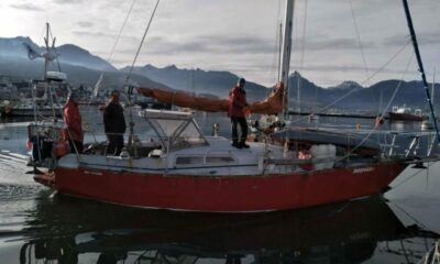 Ushuaia: Identificaron al velero que embistió una ballena en el Canal Beagle y ya interviene la Justicia.