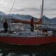 Ushuaia: Identificaron al velero que embistió una ballena en el Canal Beagle y ya interviene la Justicia.
