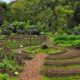 Se viene el I Encuentro de Permacultura en San Juan: una nueva gestión de tierras y cuidado del ambiente.