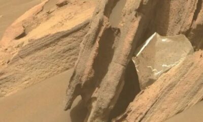 La NASA encontró «basura humana» en Marte.
