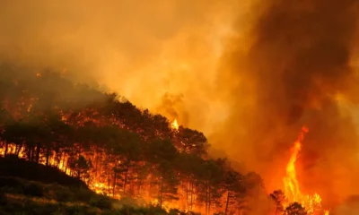 Una ola de calor azota a Europa