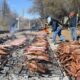 Más de 5 mil sanjuaninos disfrutaron de la Fiesta Provincial del Chivo.