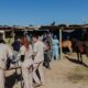Ambiente realizó un relevamiento y asistió a los animales afectados por el incendio del Parque Sarmiento.