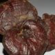 Un equipo de investigadoras crearon un «cuero ecológico» desarrollado a base de hongos.