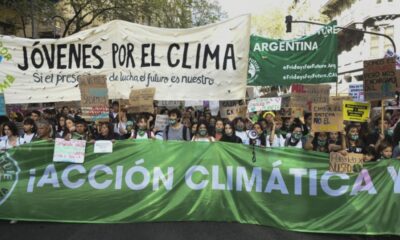 Disponer de un medio ambiente sano fue declarado como un derecho humano universal.
