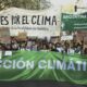 Disponer de un medio ambiente sano fue declarado como un derecho humano universal.