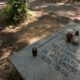 Encuentran en Polonia una fosa común con cenizas de víctimas de un campo de concentración de la Alemania nazi.