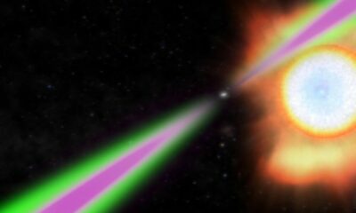 Astrónomos observan la «viuda negra» espacial: Es la estrella de neutrones más masiva de la historia.