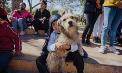 ¡A tener en cuenta! El quirófano de esterilización de mascota llega al barrio Camus.