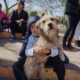 ¡A tener en cuenta! El quirófano de esterilización de mascota llega al barrio Camus.