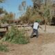 Realizan trabajos para prevenir futuros incendios en el Parque Sarmiento.