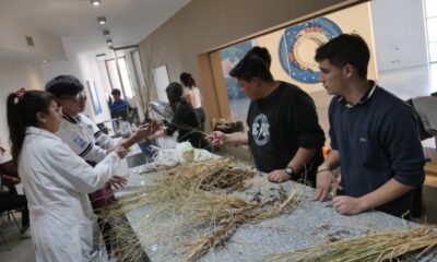 Alumnos de tres escuelas realizan sus prácticas profesionalizantes en Anchipurac.